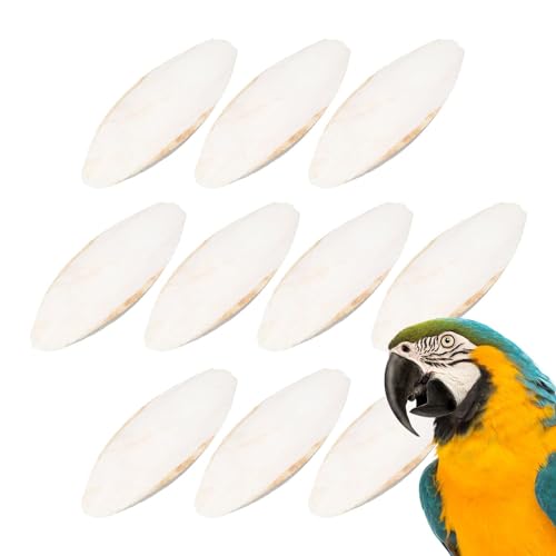 10 Stück Sepiaschalen Vögel Kauen Spielzeug Papageien Kauspielzeug Tintenfische Sepia Knochen Kuschelknochen Für Sittiche,Papageien-Kuschelknochen Für Papageien von Beedozo