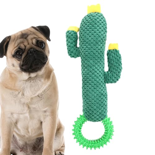 Beedozo Kaktus Plüsch | Tragbares Kaktus-Plüschspielzeug, Kauspielzeug für Hunde - Multifunktionales wiederverwendbares kleines Quietschspielzeug für Hunde im Freien, Puzzlespielzeug für Katzen von Beedozo