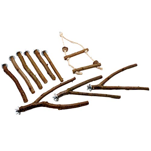 Holzzweigständer, Vogelschleifkralle, Stab, Papageien, Vogelzubehör, Vogelkäfig, Papageien, Molarenstange, Haustier-Vogelständer Holzzweigständer, Vogelschleifkralle, Stab, Papageien, Vogelzubehör, Vogelkäfig, Papageien, Molarenstange, Haustier-Vogelständer von Beelooom