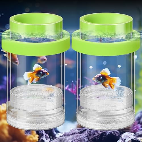 Beeveer Züchterbox für Aquarium, Züchter, Trennnetz, Zuchtbox mit Saugnapf für kleine Fische, Garnelen, Clownfische, Guppy, Grün, M, 2 Stück von Beeveer