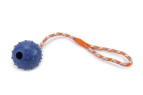 BEEZTEES 625955 Hundespielzeug: Ball mit Seil Ø 6cm 30cm BLAU von Beeztees