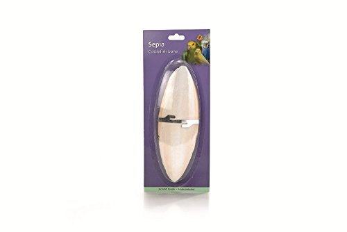 Beeztees Tintenfischknochen, groß, 20 cm, weiß für Vögel von Beeztees