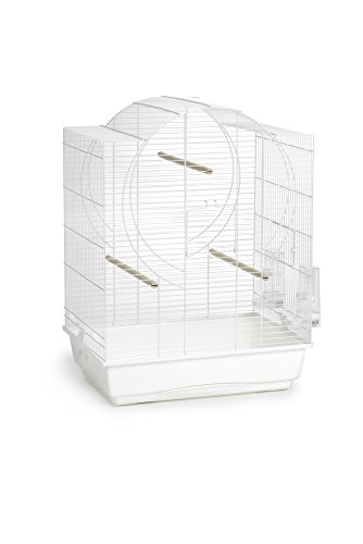 Beeztees 206706 Vogelheim Emma XL, 54 x 39 x 71 cm, weiß Beeztees 206706 Vogelheim Emma XL, 54 x 39 x 71 cm, weiß von Beeztees