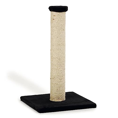 Beeztees 408041 Kratzbaum Gina, 34 x 34 x 60 cm, schwarz Beeztees 408041 Kratzbaum Gina, 34 x 34 x 60 cm, schwarz von Beeztees
