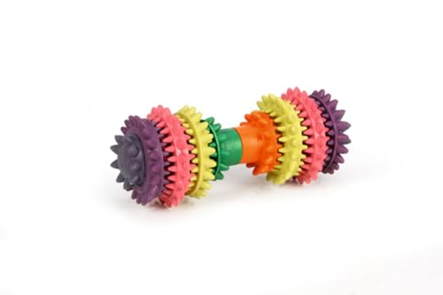 Beeztees 625415 Gummihantel Zahnpflege mit, 14 x 6 cm, Mint Beeztees 625415 Gummihantel Zahnpflege mit, 14 x 6 cm, Mint von Beeztees