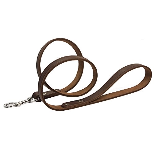 Beeztees 736334 Ipts Lederleine, 100 x 16 cm, braun von Beeztees