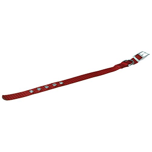 Beeztees 744058 Nylonhalsband, 25.5-31.5 x 1.5 cm, rot Beeztees 744058 Nylonhalsband, 25.5-31.5 x 1.5 cm, rot von Beeztees