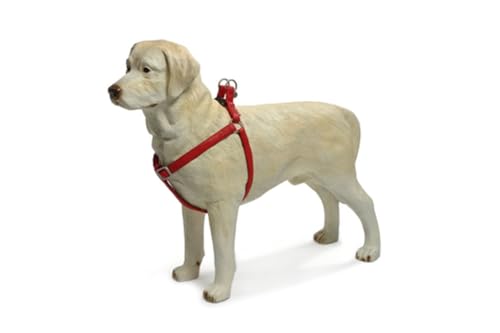 Beeztees 744967 Macleather Geschirr, 50-75 x 2 cm, rot Beeztees 744967 Macleather Geschirr, 50-75 x 2 cm, rot von Beeztees
