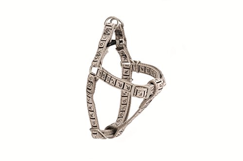Beeztees 746195 Nylongeschirr "Typo", 35-50 x 1.5 cm, grau Beeztees 746195 Nylongeschirr "Typo", 35-50 x 1.5 cm, grau von Beeztees