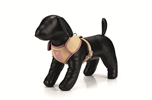 Beeztees 746280 Polygeschirr "Good dog", Größe XS, 18 x 24-28 cm, beige Beeztees 746280 Polygeschirr "Good dog", Größe XS, 18 x 24-28 cm, beige von Beeztees