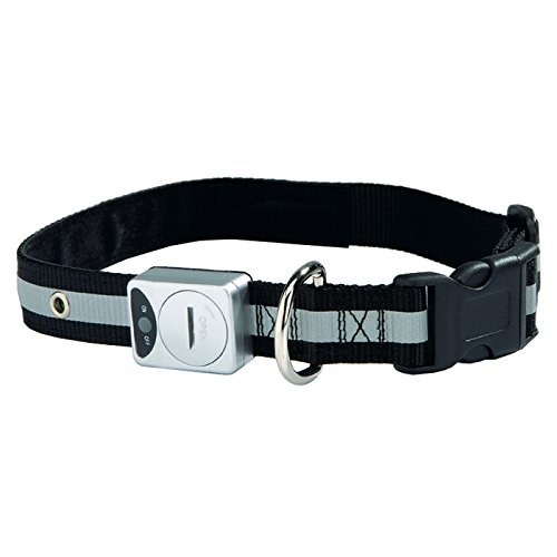 Beeztees 749808 Reflektierendes Halsband, 40-65 x 2.5 cm, grau von Beeztees