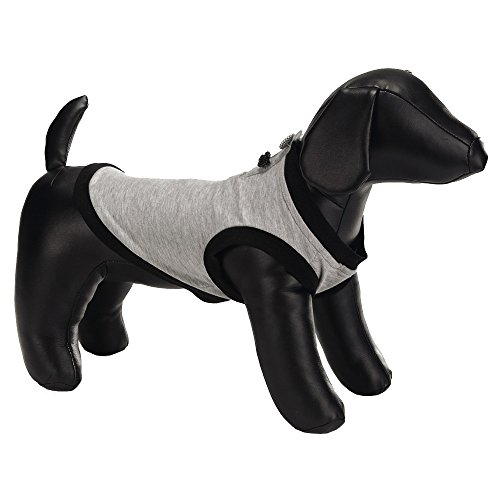 Beeztees 766095 Hunde T-Shirt Joggy Größe 38 cm, grau von Beeztees