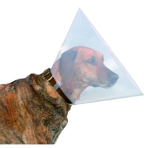 Beeztees 796002 Hundekragen aus Plastik, 28-33 x 12,5 cm Beeztees 796002 Hundekragen aus Plastik, 28-33 x 12,5 cm von Beeztees