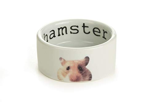 Beeztees 801700 Keramiknapf - Snapshot für Hamster, 7.5 x 4 cm, weiß von Beeztees