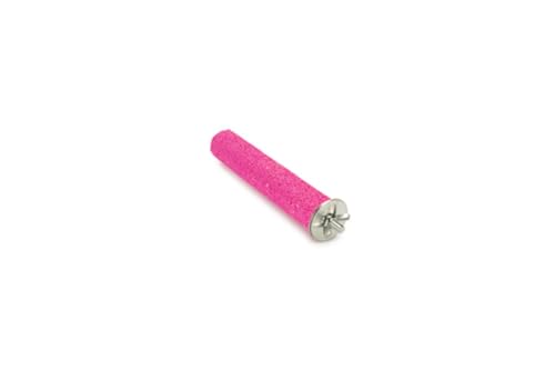 Beeztees 80280 Sitzstange aus Vulkanstein, 15 cm Beeztees 80280 Sitzstange aus Vulkanstein, 15 cm von Beeztees