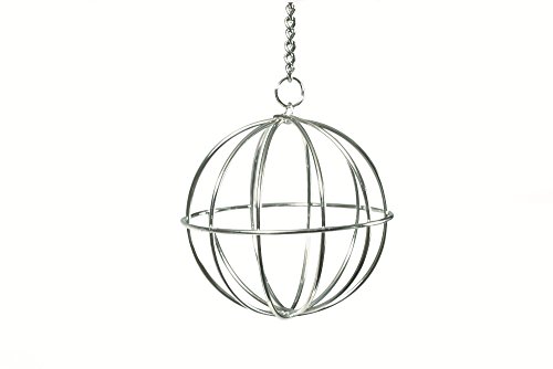 Beeztees 810560 Futterball an Kette aus Chrom, 8 cm Beeztees 810560 Futterball an Kette aus Chrom, 8 cm von Beeztees