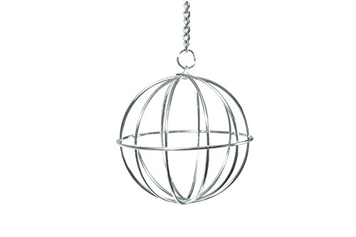 Beeztees 810561 Futterball An Kette Chrom, 12 cm Beeztees 810561 Futterball An Kette Chrom, 12 cm von Beeztees
