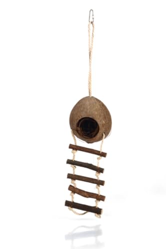Beeztees 811087 Kokosnusshaus mit Leiter, 30 cm Beeztees 811087 Kokosnusshaus mit Leiter, 30 cm von Beeztees