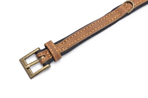 Beeztees Balacron Ax - Hundehalsband - Kunstleder - Braun - 21-26 cm x Beeztees Balacron Ax - Hundehalsband - Kunstleder - Braun - 21-26 cm x von Beeztees