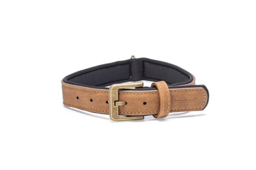 Beeztees Balacron Ax - Hundehalsband - Kunstleder - Braun - 38-48 cm x von Beeztees