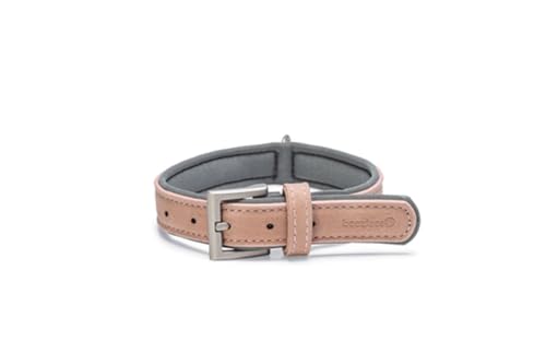 Beeztees Balacron Ax - Hundehalsband - Kunstleder - Rosa - 31-39 cm x 20 Beeztees Balacron Ax - Hundehalsband - Kunstleder - Rosa - 31-39 cm x 20 von Beeztees