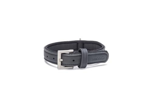 Beeztees Balacron Ax - Hundehalsband - Kunstleder - Schwarz - 31-39 cm x Beeztees Balacron Ax - Hundehalsband - Kunstleder - Schwarz - 31-39 cm x von Beeztees