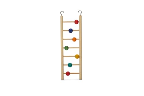 Beeztees Beady Leiter - Vogelspielzeug - 7 Sprossen - 30 cm Beeztees Beady Leiter - Vogelspielzeug - 7 Sprossen - 30 cm von Beeztees