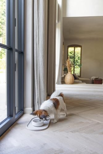 Beeztees DBL Futternapf für Hunde, Bambus, Beige, 14 cm, 410 ml Beeztees DBL Futternapf für Hunde, Bambus, Beige, 14 cm, 410 ml von Beeztees