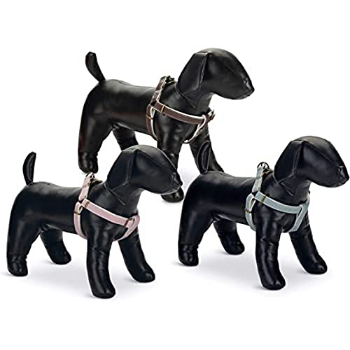 Beeztees Designed by Lotte Hundegeschirr, Nylon, 20 mm x 46-75 cm, Mint Beeztees Designed by Lotte Hundegeschirr, Nylon, 20 mm x 46-75 cm, Mint von Beeztees