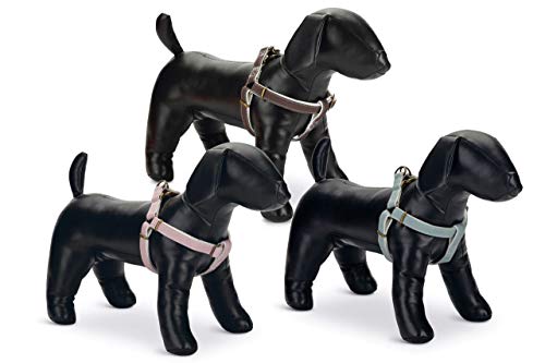 Beeztees Designed by Lotte Hundegeschirr, Nylon, 25 mm x 60-100 cm, Mint Beeztees Designed by Lotte Hundegeschirr, Nylon, 25 mm x 60-100 cm, Mint von Beeztees