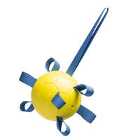Beeztees Fetch Spielball Power von Beeztees