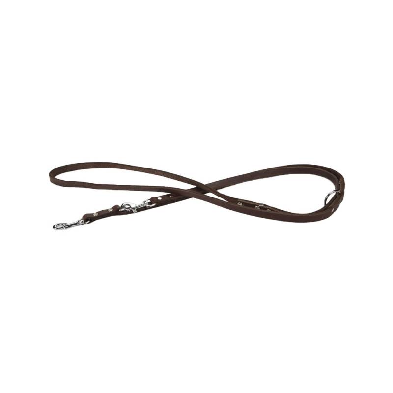 Beeztees Hundeleine Leder - Braun - 200 x 12 cm von Beeztees
