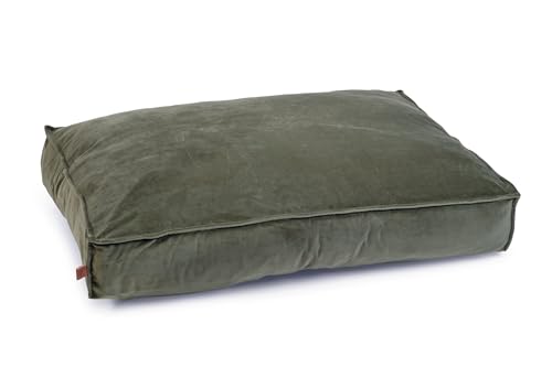 Designed by Lotte Nalino Liegekissen, Hund, Samt, Grün, 100x70x15 cm Designed by Lotte Nalino Liegekissen, Hund, Samt, Grün, 100x70x15 cm von Designed by Lotte