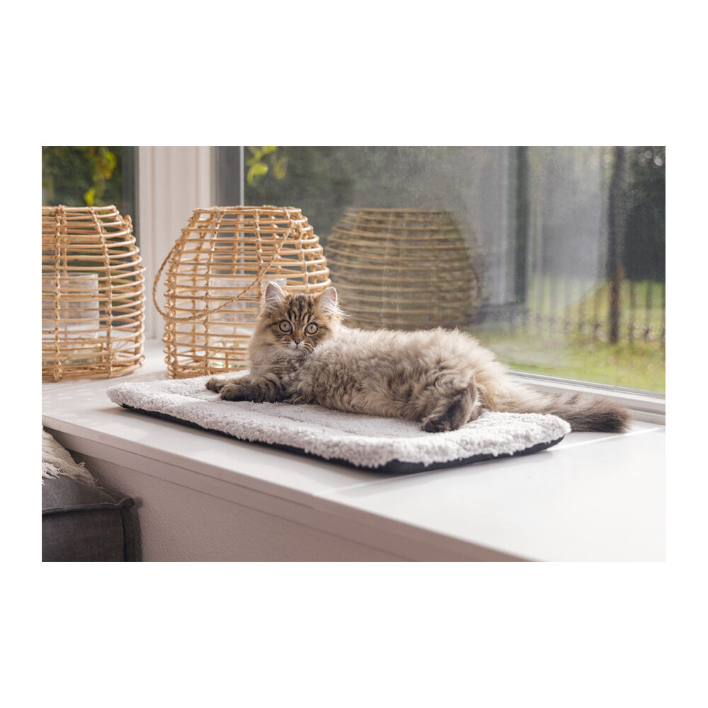 Beeztees Kätzchen Fensterbankmatte Moos - 65 x 27 x 3 cm Beeztees Kätzchen Fensterbankmatte Moos - 65 x 27 x 3 cm von Beeztees
