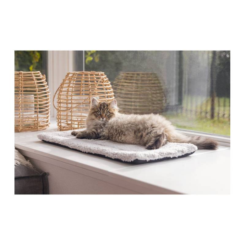 Beeztees Kätzchen Fensterbankmatte Moos - 65 x 27 x 3 cm von Beeztees