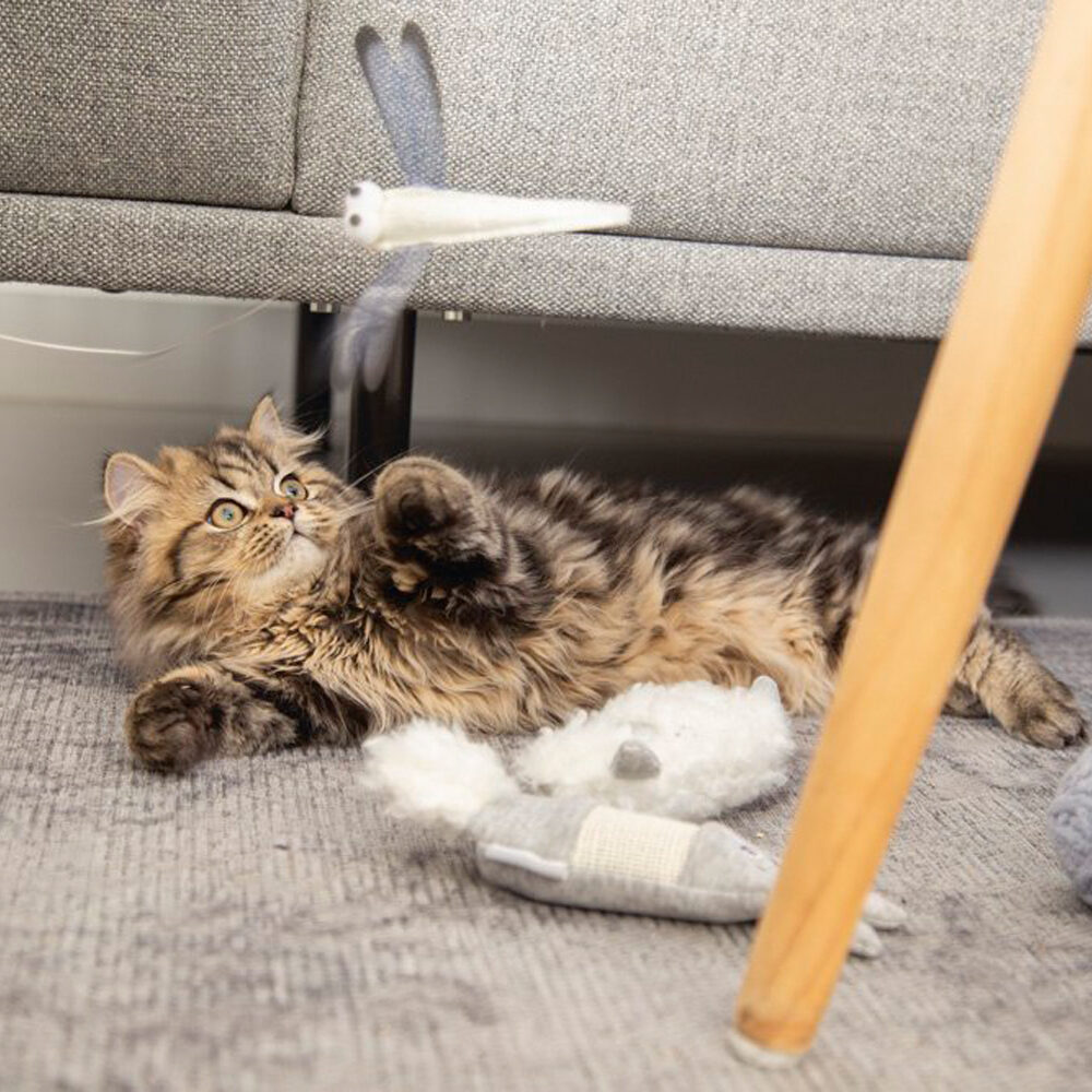 Beeztees Kätzchen Kaninchen - Grau Beeztees Kätzchen Kaninchen - Grau von Beeztees