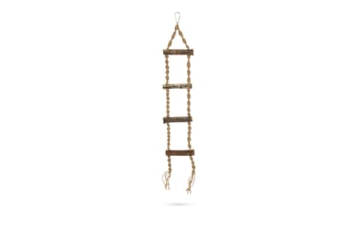 Beeztees Leiter Hinto - Vogelspielzeug - 60 cm Beeztees Leiter Hinto - Vogelspielzeug - 60 cm von Beeztees
