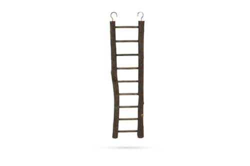 Beeztees Leiter Zi - Vogelspielzeug - Holz - 9 Sprossen - 38x7 cm Beeztees Leiter Zi - Vogelspielzeug - Holz - 9 Sprossen - 38x7 cm von Beeztees