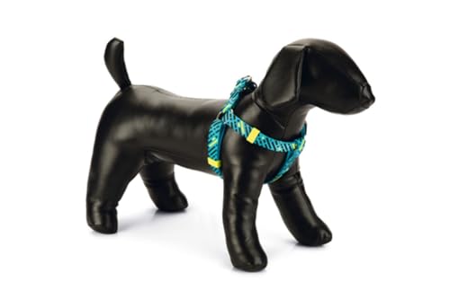Beeztees Memphis - Hundegeschirr - Nylon - Hellblau - 35-60 cm x 15 mm Beeztees Memphis - Hundegeschirr - Nylon - Hellblau - 35-60 cm x 15 mm von Beeztees