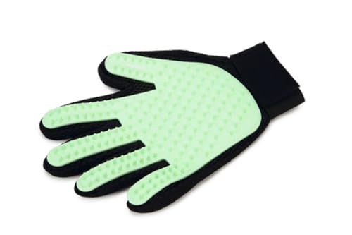 Beeztees Rubby Pflegehandschuh - Hund - Mint - 24x18x1 cm Beeztees Rubby Pflegehandschuh - Hund - Mint - 24x18x1 cm von Beeztees