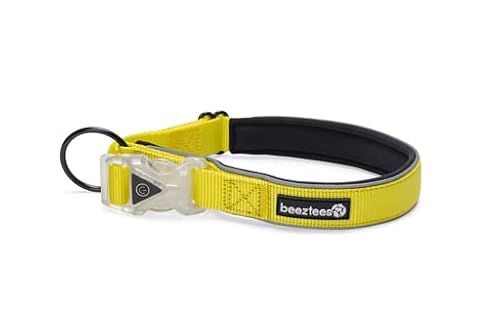 Beeztees Safety Gear Parinca Premium - Hundehalsband - LED - Nylon - von Beeztees