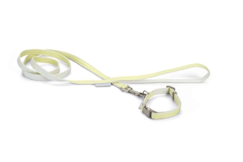 Beeztees Welpen-Set, Halsband und Leine, Gelb von Beeztees
