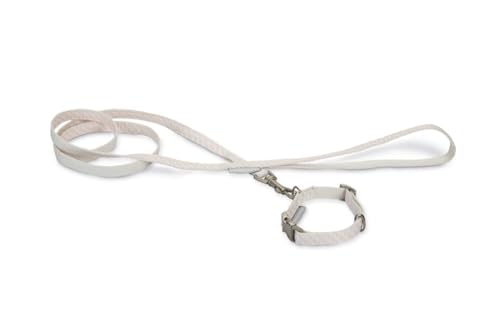 Beeztees Welpen-Set mit Halsband und Leine, Rosa von Beeztees
