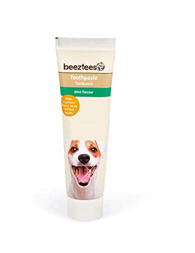 Beeztees Zahncreme mit Minze, Hundezahncreme - Hundezahnpasta - 100 g Beeztees Zahncreme mit Minze, Hundezahncreme - Hundezahnpasta - 100 g von Beeztees
