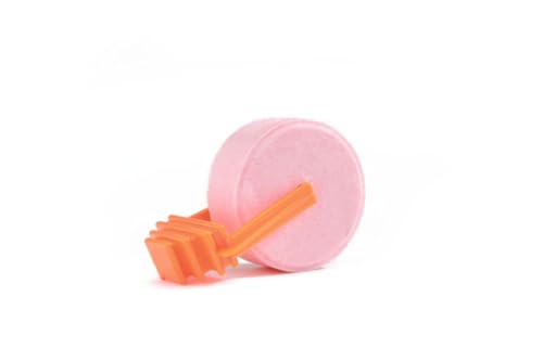 Van Riel - Pierre à lécher avec support pour rongeurs 52 X 12 mm Van Riel - Pierre à lécher avec support pour rongeurs 52 X 12 mm von Beeztees