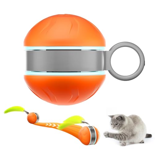 Befeixue Interaktiver Hundeball,Rollball Bewegliches Katzenspielzeug - Elektrisches Katzenspielzeug mit Licht für Kätzchen und Welpen Bewegungstraining und Spiel für drinnen und draußen Befeixue Interaktiver Hundeball,Rollball Bewegliches Katzenspielzeug - Elektrisches Katzenspielzeug mit Licht für Kätzchen und Welpen Bewegungstraining und Spiel für drinnen und draußen von Befeixue