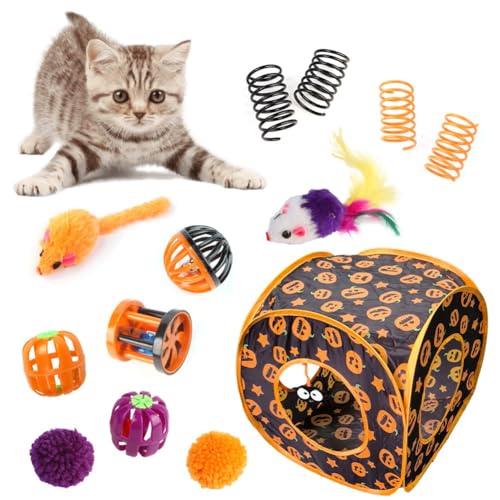 Begchy Interaktives Spielzeug für Katzen, Mausspielzeug, Katzenzubehör für Bewegung Von Haustieren, Nützliches Süßes Katzenspielzeug für Welpen, 13-Teilig Begchy Interaktives Spielzeug für Katzen, Mausspielzeug, Katzenzubehör für Bewegung Von Haustieren, Nützliches Süßes Katzenspielzeug für Welpen, 13-Teilig von Begchy