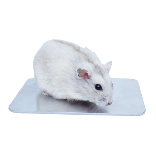 Begeterday 12cm x 8cm Hamster kühlplatte, EIN Unverzichtbares Hamster Zubehör für den Sommer Hamsterkäfig von Begeterday