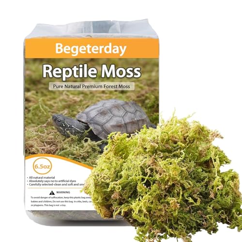 Begeterday 180g Reines Natürliches Moos für Schildkröten, Ideales Zubehör für Schildkrötenbecken, Gut für Die Aufrechterhaltung Der Luftfeuchtigkeit Und Zum Warmhalten im Winter Begeterday 180g Reines Natürliches Moos für Schildkröten, Ideales Zubehör für Schildkrötenbecken, Gut für Die Aufrechterhaltung Der Luftfeuchtigkeit Und Zum Warmhalten im Winter von Begeterday