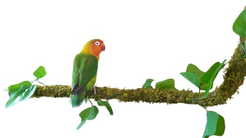 Begeterday 63,5 cm biegbare Vogelsitzstangen, Vogelspielzeug, ideales Vogelkäfig-Zubehör von Begeterday